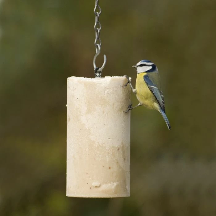 Peanut Cake Tubes (1 Litre) - Bundle Of 3 2 Peanut Cake Tubes (1 Litre) - Bundle Of 3 - Image 2