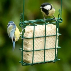 Peanut Cake Square With Mealworms 9 Peanut Cake Square With Mealworms -birds Shop 10078 3