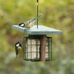 Peanut Cake Square Original -birds Shop 10082 03