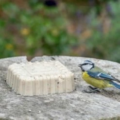 Peanut Cake Squares - Bundle Of 4 -birds Shop 10082 original peanut cake jvg 0156 5 1 2 1