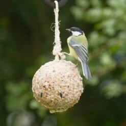 Giant Fat Ball On A Rope - Insects 5 Giant Fat Ball On A Rope - Insects -birds Shop 10097 1 1