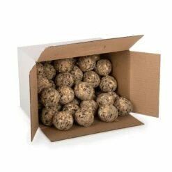 Box Of 50 Ultimate Fat Balls -birds Shop 10278 02