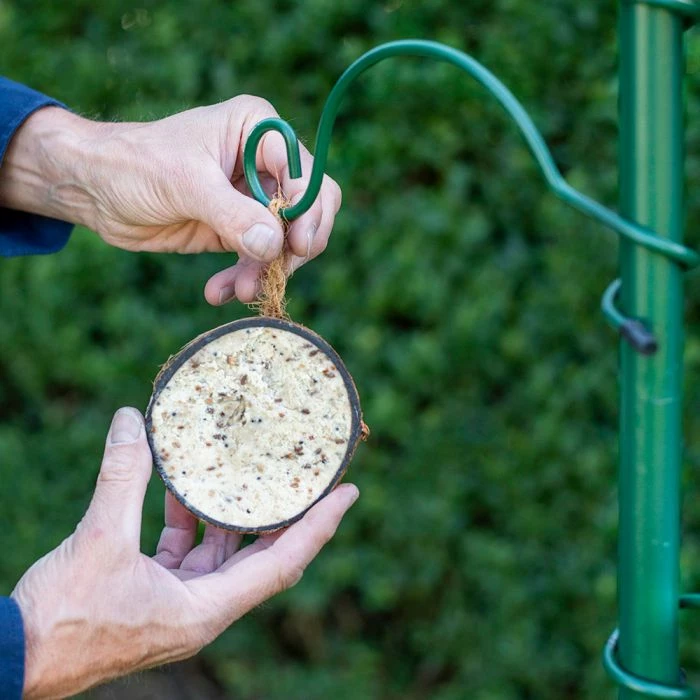 Half Coconut With Peanut Butter Bird Food 3 Half Coconut With Peanut Butter Bird Food - Image 3