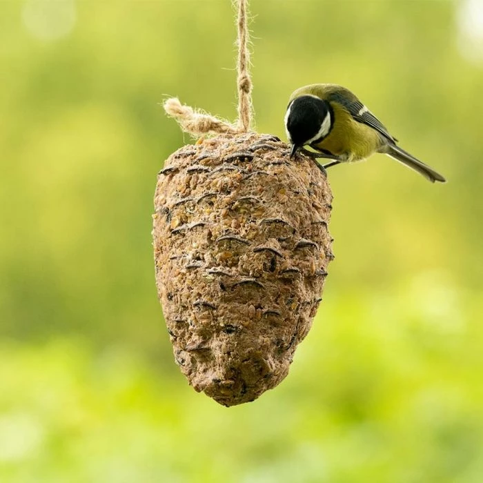 Peanut Butter Filled Pine Cone For Birds 2 Peanut Butter Filled Pine Cone For Birds - Image 2