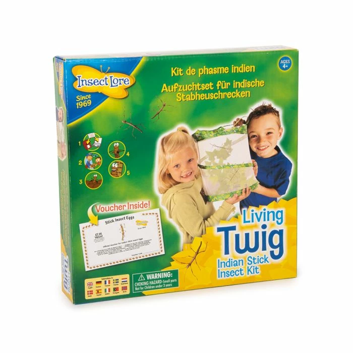 Living Twig Stick Insect Kit 1 Living Twig Stick Insect Kit