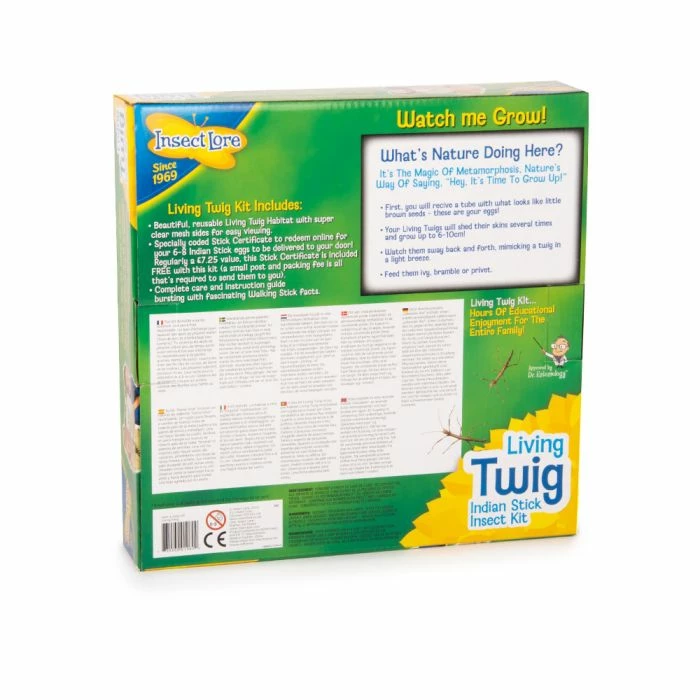 Living Twig Stick Insect Kit 2 Living Twig Stick Insect Kit - Image 2