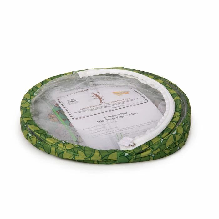 Living Twig Stick Insect Kit 5 Living Twig Stick Insect Kit - Image 5