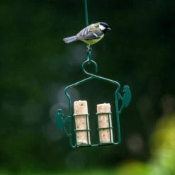 Energy Rolls With Insect Fat - 6 Pack