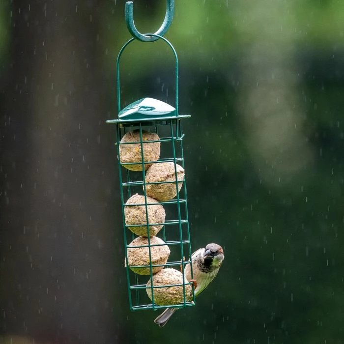 Fat Balls With Insect Fat - 6 Pack 1 Fat Balls With Insect Fat - 6 Pack