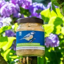 Protein Rich Peanut Butter For Birds - Bundle Of 4 -birds Shop 111730111 protein rich peanut butter sw sem low res 8632