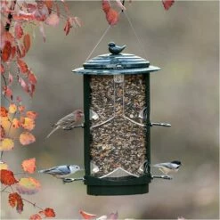 Squirrel-X LX1 Squirrel-Resistant Bird Feeder With Spring-Loaded Perches - 4.2 Lb