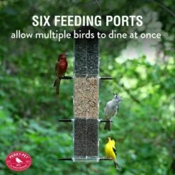 Perky-Pet® Evenseed Silo Wild Bird Feeder -birds Shop 112 info3 698
