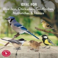 Perky-Pet® Evenseed Silo Wild Bird Feeder -birds Shop 112 info4 698