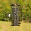 Perky-Pet® Squirrel Stumper Wild Bird Feeder
