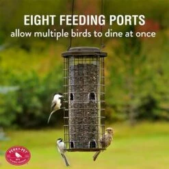 Perky-Pet® Squirrel Stumper Wild Bird Feeder -birds Shop 114 ig 3