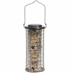 Perky-Pet® Squirrel Stumper Wild Bird Feeder -birds Shop 114 seedfilled
