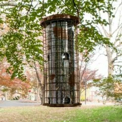 Perky-Pet® Brass Squirrel Stumper® Bird Feeder