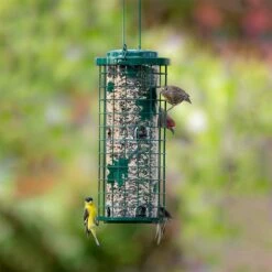 Perky-Pet® Squirrel Stumper® Bird Feeder