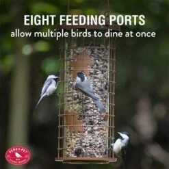 Perky-Pet® Brass Squirrel Stumper® Bird Feeder -birds Shop 114g ig03