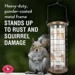Perky-Pet® Brass Squirrel Stumper® Bird Feeder -birds Shop 114g ig04