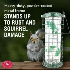 Perky-Pet® Squirrel Stumper® Bird Feeder -birds Shop 114g info4