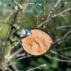 Half Coconut With Protein Rich Peanut Butter