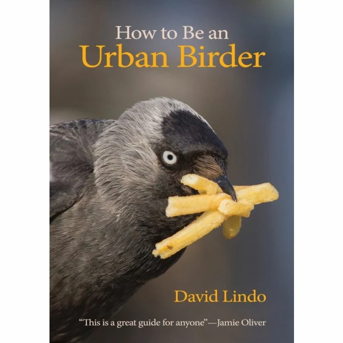 How To Be An Urban Birder Book 1 How To Be An Urban Birder Book
