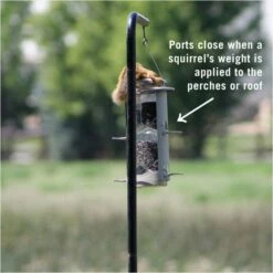 Squirrel-X X1 Squirrel-Resistant Bird Feeder With Spring-Loaded Perches - 4.2 Lb 9 Squirrel-X X1 Squirrel-Resistant Bird Feeder With Spring-Loaded Perches - 4.2 Lb -birds Shop 11 5 infographic 1