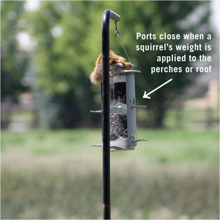 Squirrel-X X1 Squirrel-Resistant Bird Feeder With Spring-Loaded Perches - 4.2 Lb 4 Squirrel-X X1 Squirrel-Resistant Bird Feeder With Spring-Loaded Perches - 4.2 Lb - Image 4