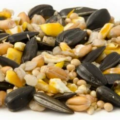 National Trust Garden Bird Table Seed -birds Shop 13005