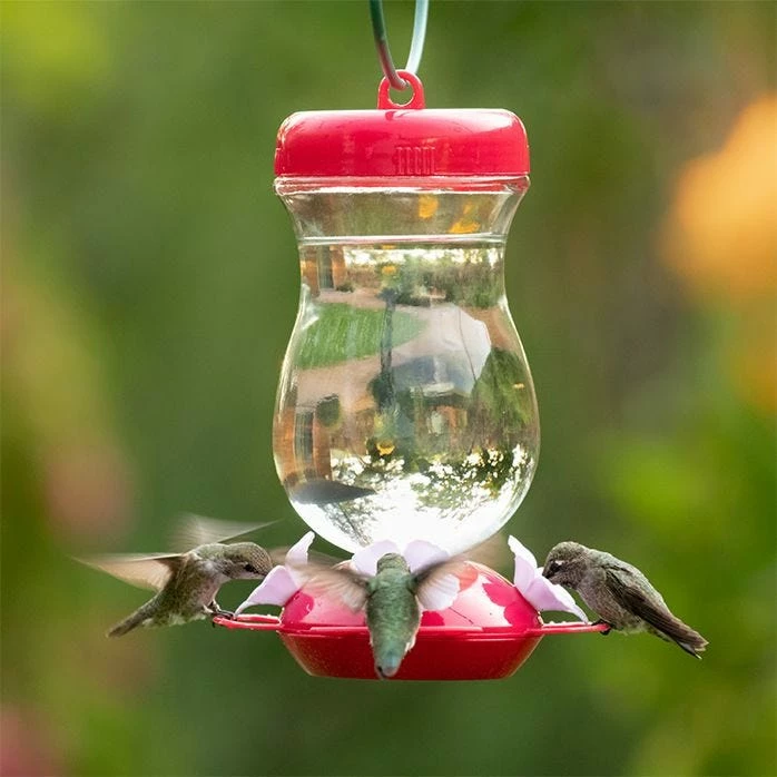 Perky-Pet® Pink Top-Fill Glass Hummingbird Feeder 10 Perky-Pet® Pink Top-Fill Glass Hummingbird Feeder - Image 10