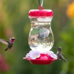 Perky-Pet® Pink Top-Fill Glass Hummingbird Feeder 22 Perky-Pet® Pink Top-Fill Glass Hummingbird Feeder -birds Shop 132tfp d 8
