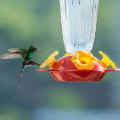 Perky-Pet® Yellow Petunia Top Fill Plastic Hummingbird Feeder -birds Shop 136tf d 5