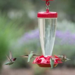 Perky-Pet® Red Petunia Top Fill Plastic Hummingbird Feeder 9 Perky-Pet® Red Petunia Top Fill Plastic Hummingbird Feeder -birds Shop 138tf d 3