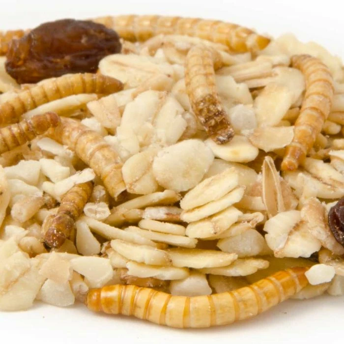 Muesli With Mealworms (2.5kg) 2 Muesli With Mealworms (2.5kg) - Image 2
