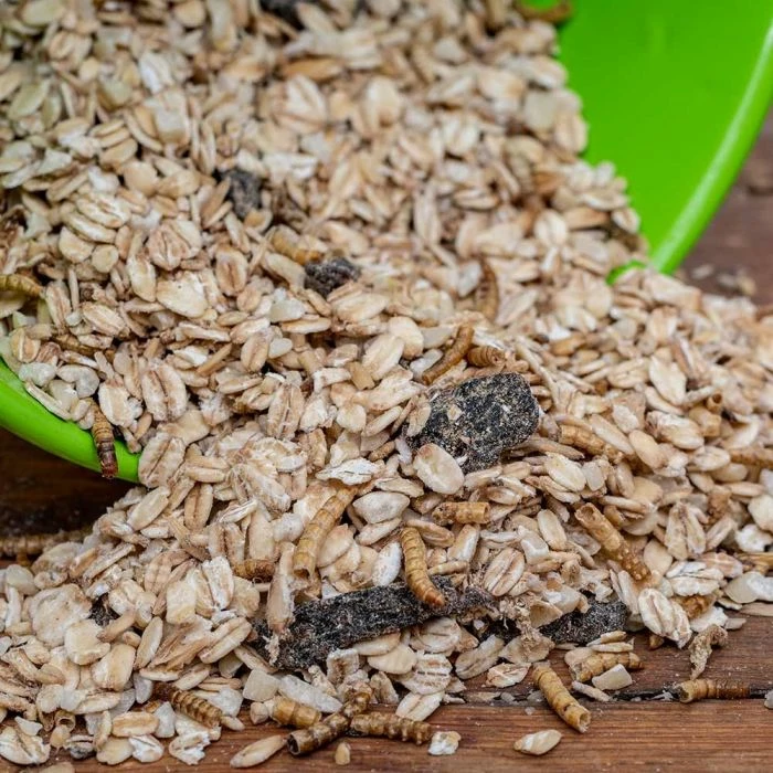 Muesli With Mealworms (2.5kg) 1 Muesli With Mealworms (2.5kg)