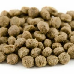 National Trust Kids Duck & Swan Food 5 National Trust Kids Duck & Swan Food -birds Shop 16002 4