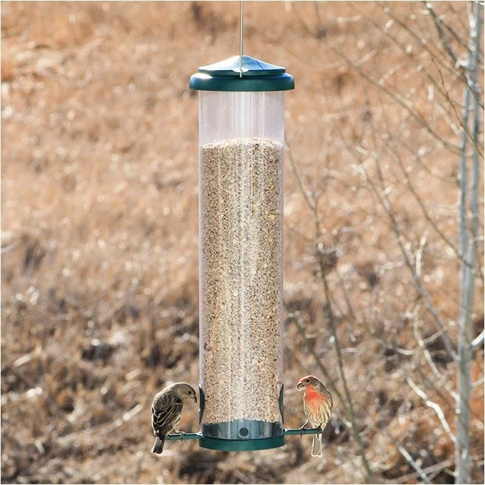 Squirrel-X X7 Squirrel-Resistant Bird Feeder With Collapsible Perches - 4.4 Lb 1 Squirrel-X X7 Squirrel-Resistant Bird Feeder With Collapsible Perches - 4.4 Lb