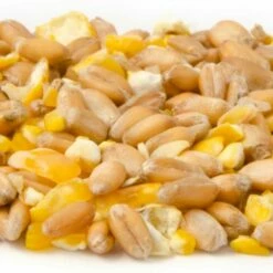 Mixed Corn For Larger Ground Feeding Birds -birds Shop 18005 3