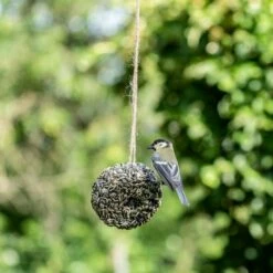 Striped Sunflowers Ring