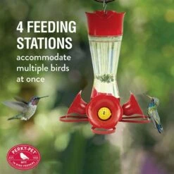 Perky-Pet® Pinch-Waist Glass Hummingbird Feeder - 8 Oz Nectar Capacity 19 Perky-Pet® Pinch-Waist Glass Hummingbird Feeder - 8 Oz Nectar Capacity -birds Shop 203cpbn 1