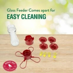 Perky-Pet® Pinch-Waist Glass Hummingbird Feeder - 8 Oz Nectar Capacity 16 Perky-Pet® Pinch-Waist Glass Hummingbird Feeder - 8 Oz Nectar Capacity -birds Shop 203cpbn 2 1