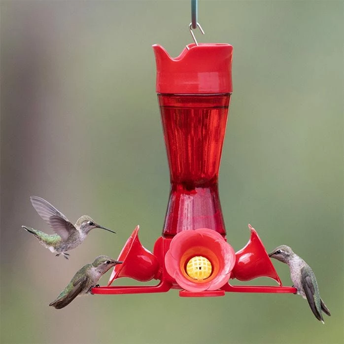 Perky-Pet® Pinch-Waist Red Glass Hummingbird Feeder - 8 Oz Nectar Capacity 1 Perky-Pet® Pinch-Waist Red Glass Hummingbird Feeder - 8 Oz Nectar Capacity
