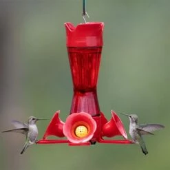 Perky-Pet® Pinch-Waist Red Glass Hummingbird Feeder - 8 Oz Nectar Capacity 30 Perky-Pet® Pinch-Waist Red Glass Hummingbird Feeder - 8 Oz Nectar Capacity -birds Shop 203cpbr a 5
