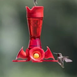 Perky-Pet® Pinch-Waist Red Glass Hummingbird Feeder - 8 Oz Nectar Capacity 32 Perky-Pet® Pinch-Waist Red Glass Hummingbird Feeder - 8 Oz Nectar Capacity -birds Shop 203cpbr a 7