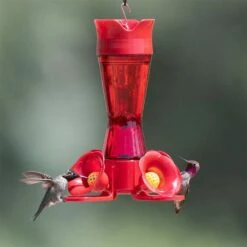 Perky-Pet® Pinch-Waist Red Glass Hummingbird Feeder - 8 Oz Nectar Capacity 33 Perky-Pet® Pinch-Waist Red Glass Hummingbird Feeder - 8 Oz Nectar Capacity -birds Shop 203cpbr a 8