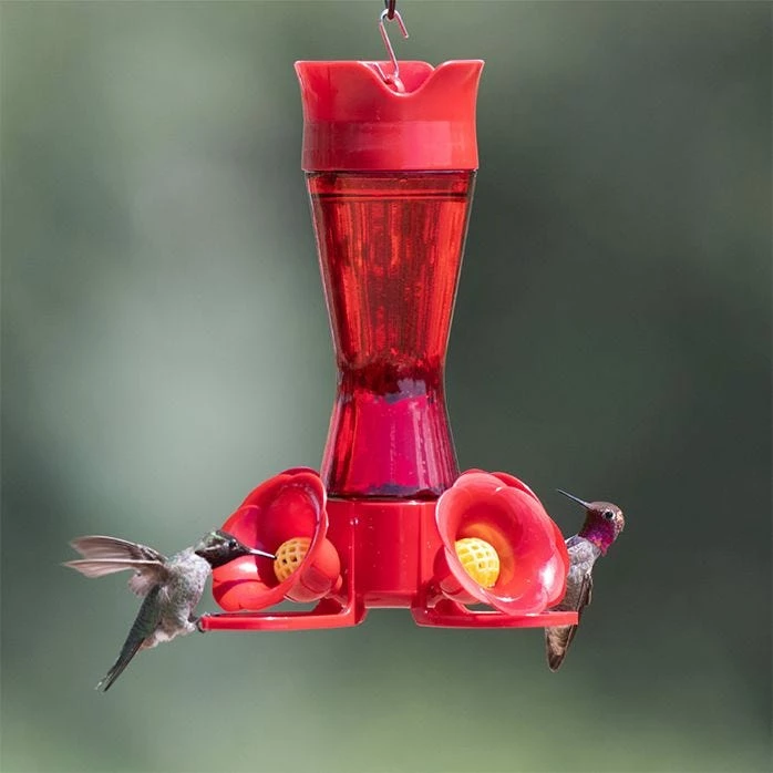 Perky-Pet® Pinch-Waist Red Glass Hummingbird Feeder - 8 Oz Nectar Capacity 15 Perky-Pet® Pinch-Waist Red Glass Hummingbird Feeder - 8 Oz Nectar Capacity - Image 15