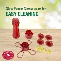 Perky-Pet® Pinch-Waist Red Glass Hummingbird Feeder - 8 Oz Nectar Capacity 22 Perky-Pet® Pinch-Waist Red Glass Hummingbird Feeder - 8 Oz Nectar Capacity -birds Shop 203cpbr info2