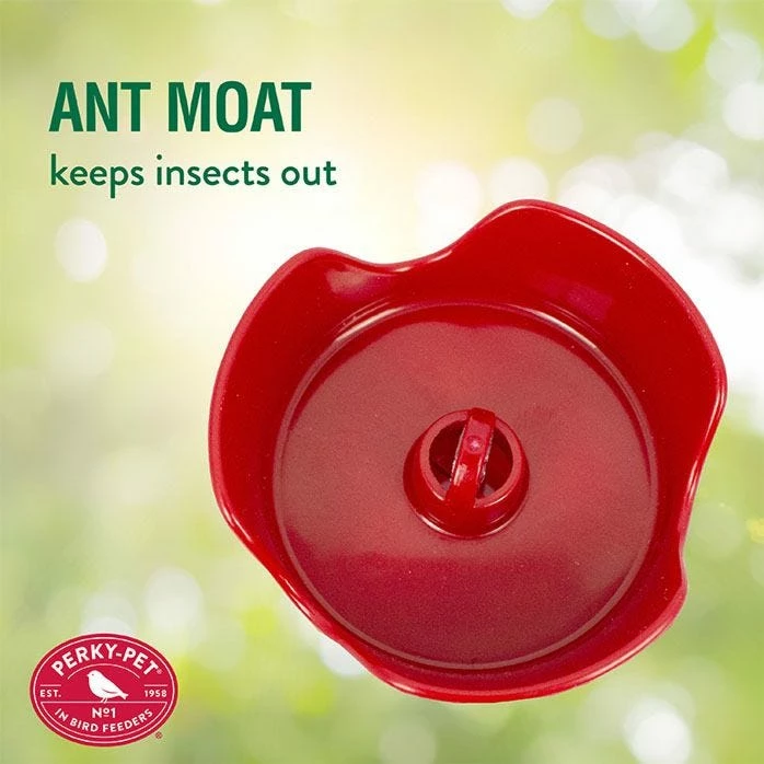 Perky-Pet® Pinch-Waist Red Glass Hummingbird Feeder - 8 Oz Nectar Capacity 6 Perky-Pet® Pinch-Waist Red Glass Hummingbird Feeder - 8 Oz Nectar Capacity - Image 6