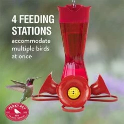 Perky-Pet® Pinch-Waist Red Glass Hummingbird Feeder - 8 Oz Nectar Capacity 25 Perky-Pet® Pinch-Waist Red Glass Hummingbird Feeder - 8 Oz Nectar Capacity -birds Shop 203cpbr info5
